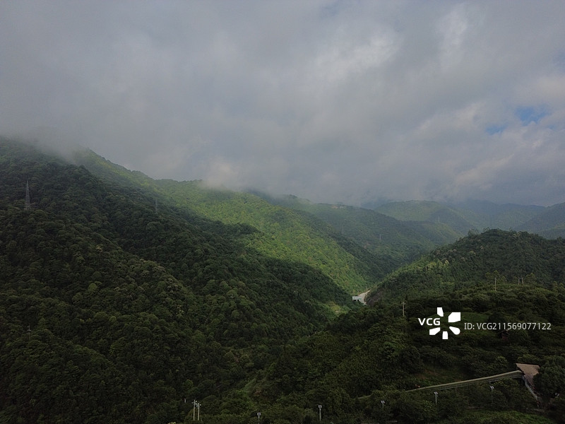 航拍清晨云雾缭绕中的高峰谷茶山风光图片素材