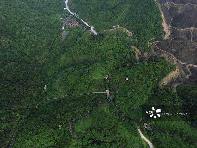 航拍清晨云雾缭绕中的高峰谷茶山风光图片素材