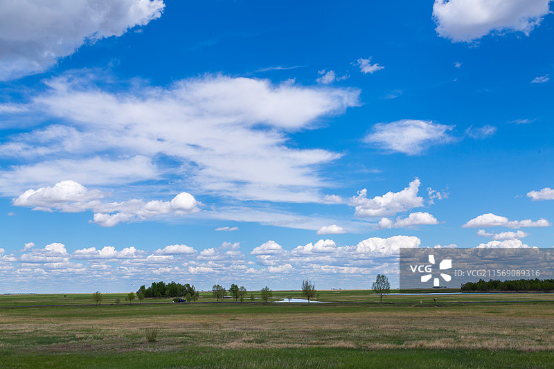 扎龙国家级自然保护区风景图片素材
