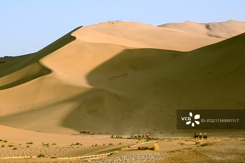甘肃敦煌鸣沙山沙漠驼队鸟影图片素材