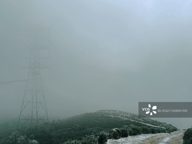湖州 吴兴  茅坞村 天字山 2024年 冻雨 极端天气 徒步图片素材