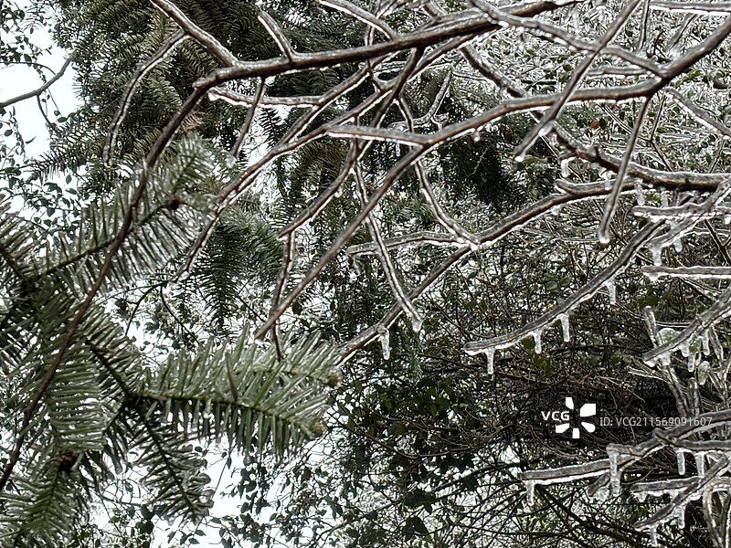 湖州 吴兴  茅坞村 天字山 2024年 冻雨 极端天气 徒步图片素材