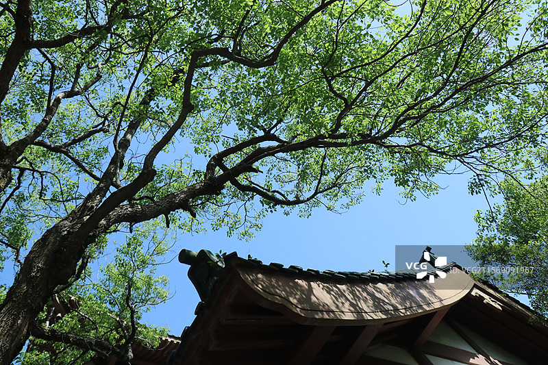 古建寺庙图片素材