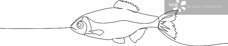 海鱼、河鱼、鲱鱼、沙丁鱼、鲤鱼图片素材