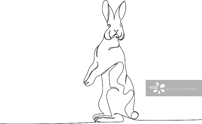 兔子 宠物 动物饲养 野兔 一行艺术图片素材