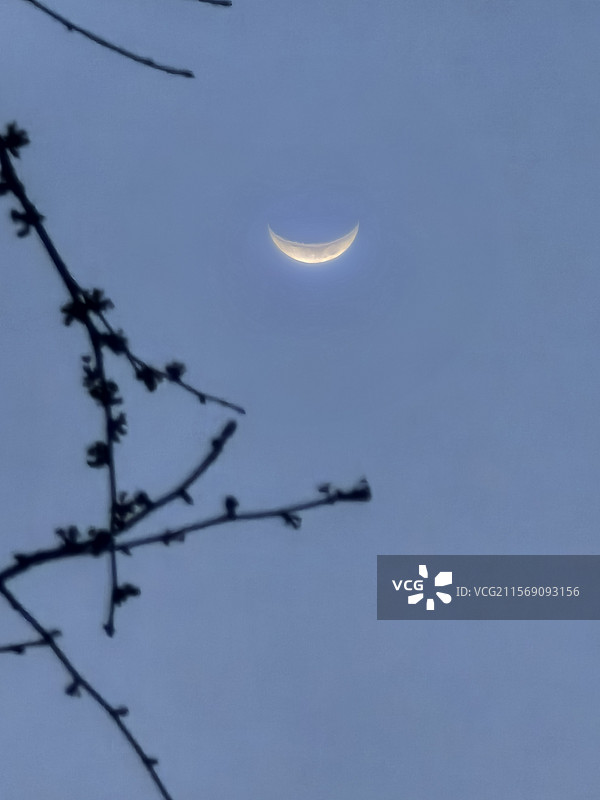 翠屏山的夜晚，月上柳梢头图片素材