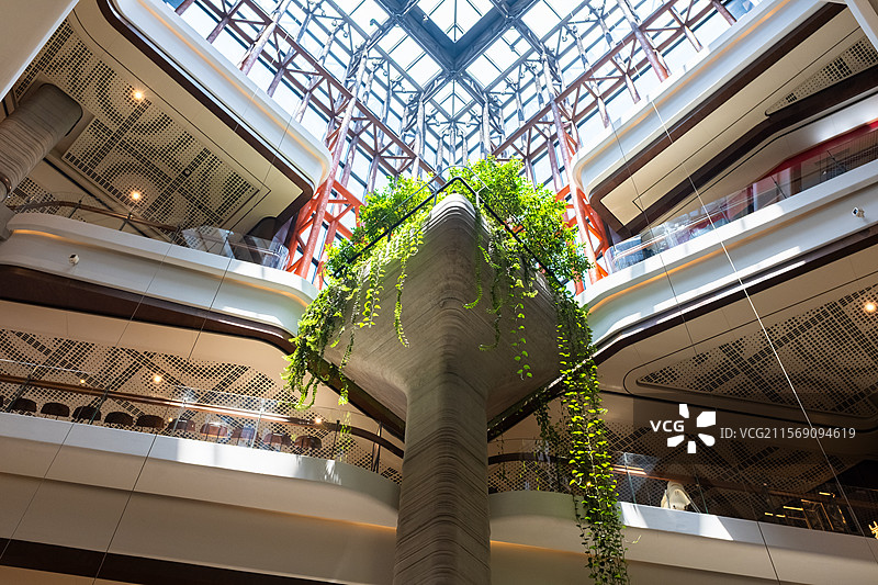 绿意盎然的室内景观垂直花园图片素材