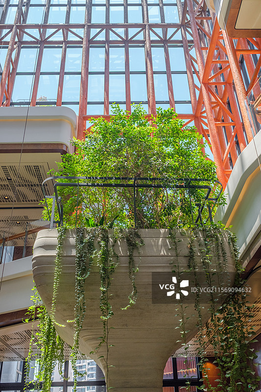 绿意盎然的室内景观垂直花园图片素材