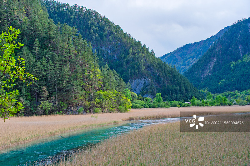 四川夏日九寨沟图片素材