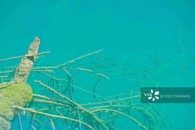 四川夏日九寨沟图片素材