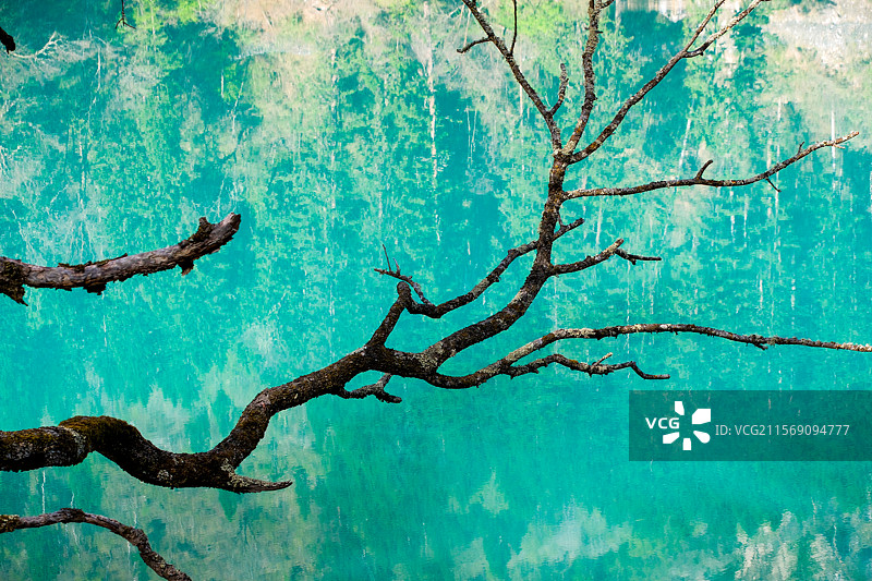 四川夏日九寨沟图片素材