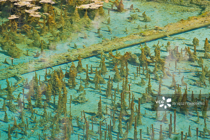 四川夏日九寨沟图片素材