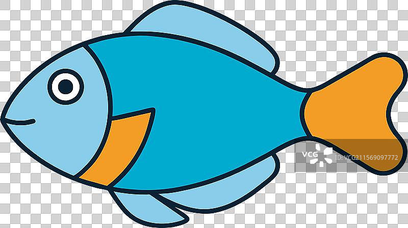 双色鹦嘴鱼图标图片素材