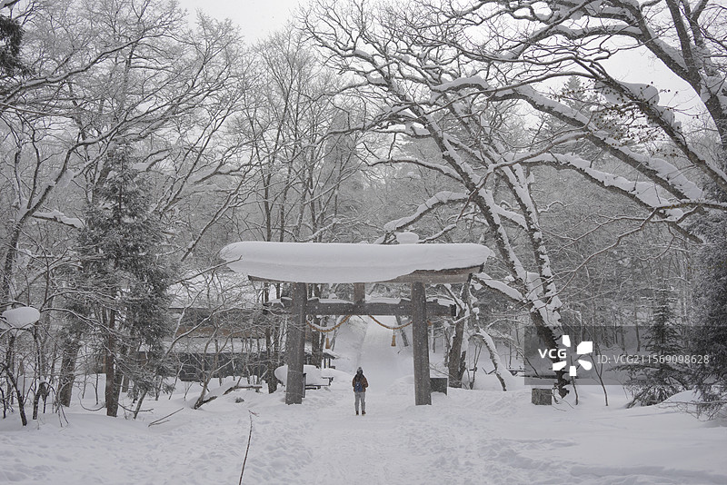 户隐神社图片素材