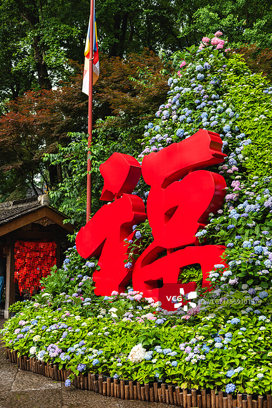 杭州灵隐飞来峰景区永福寺无尽夏绣球花展图片素材