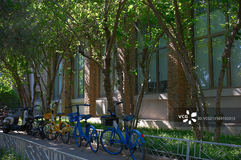 天大初夏图片素材