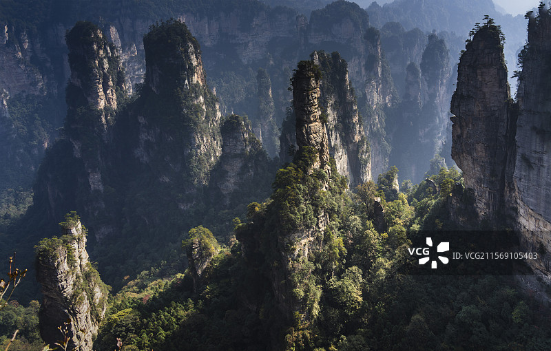 《峰林幻韵张家界》图片素材