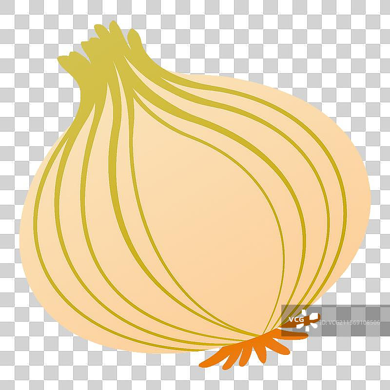 一个整颗洋葱 卡通简约扁平化手绘插画 创意元素设计素材图片素材