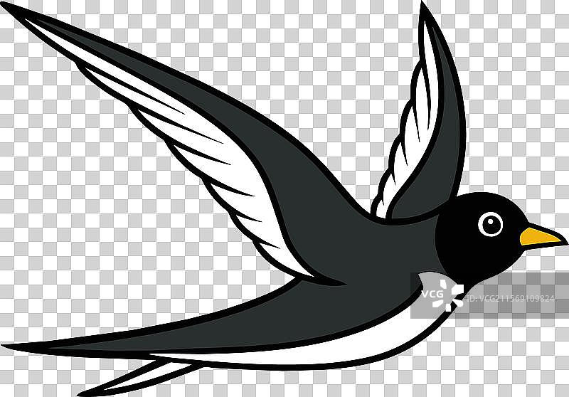 黑燕鸥鱼蝇图标图片素材