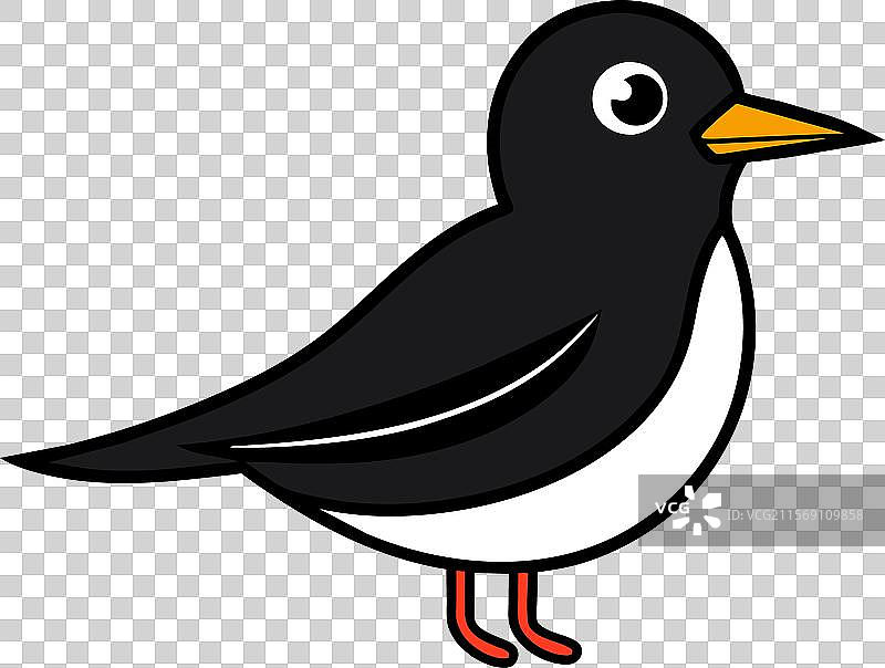 黑燕鸥鱼图标图片素材