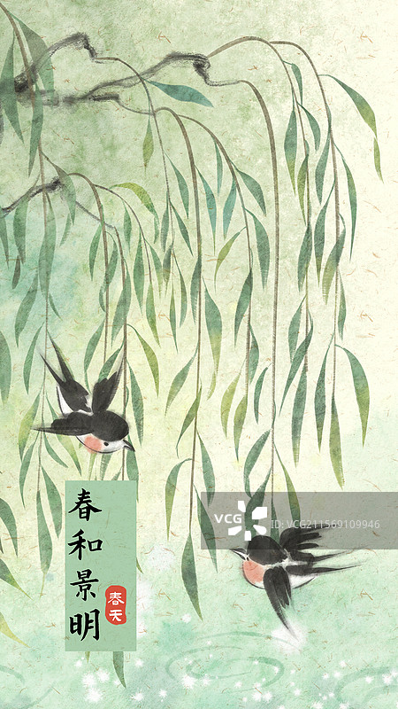 春天柳树柳叶手机壁纸图片素材