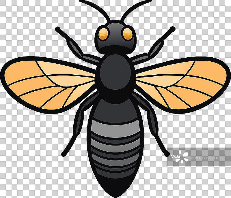 黑色黄蜂虫玩耍图标图片素材