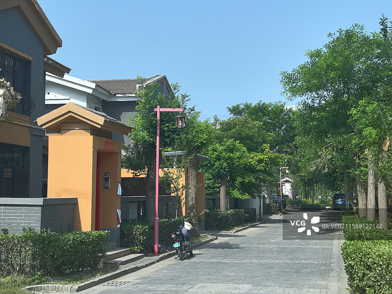 蝶飞蜂舞吻花香，赏花拍摄醉心房百鸟秀林歌声远，碧波游船遍荷塘蛙声悦耳芦苇荡，雁鹭低飞捕鱼忙图片素材