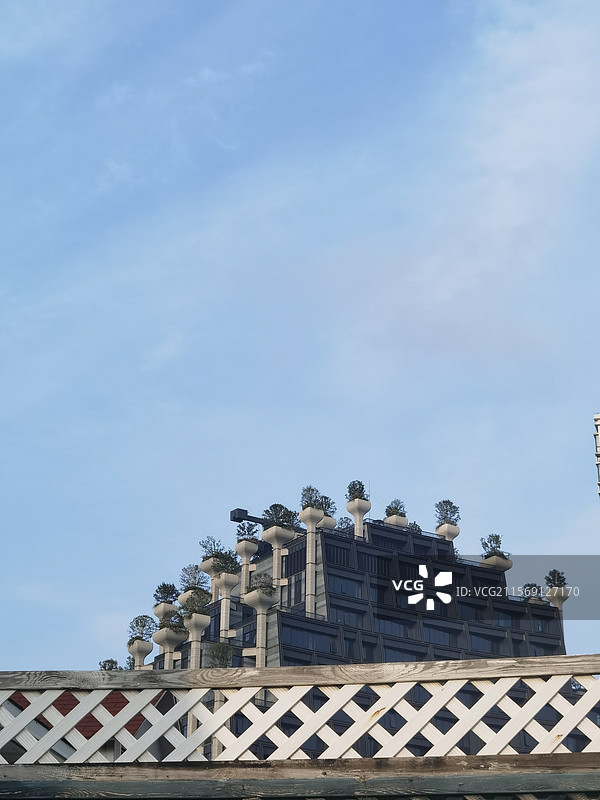 上海天安千树图片素材