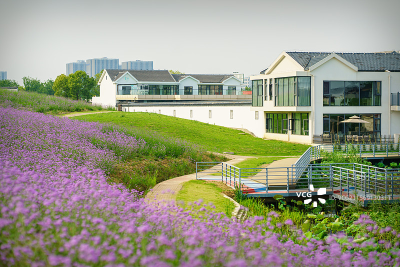 雪浪山薰衣草园景观和风景图片素材
