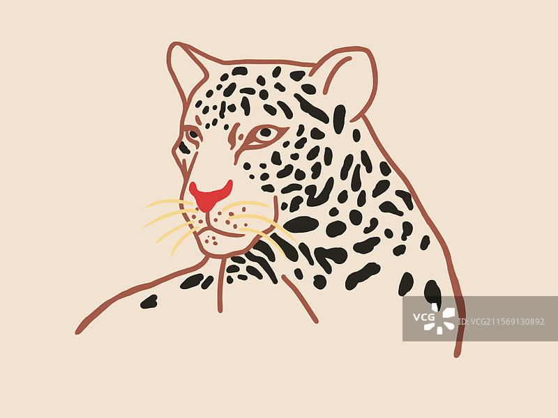 豹子侧脸图片素材