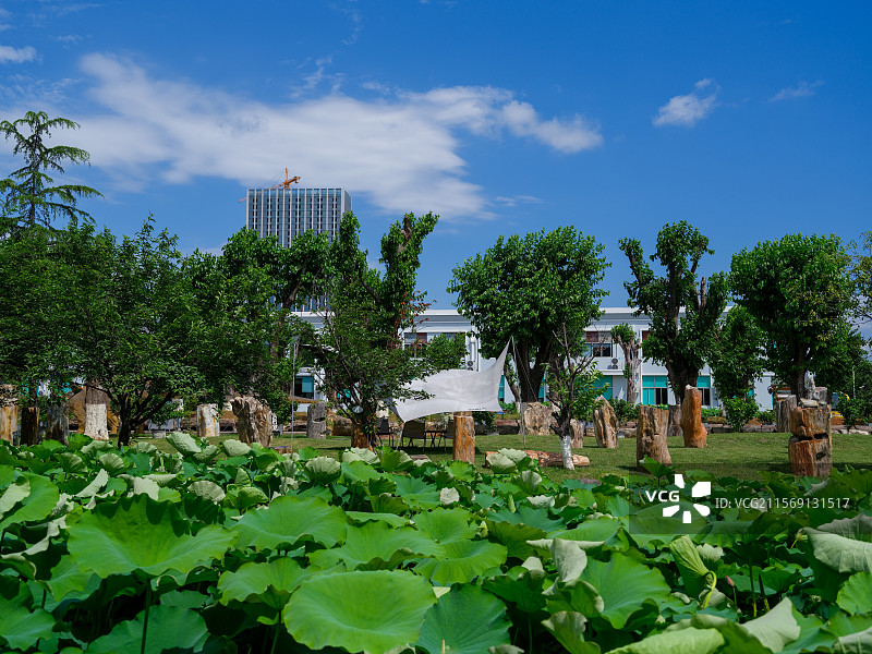 绍兴新昌县丝绸世界旅游区，国礼级丝绸，以非遗之名，铭刻情谊的厚重，始于1912，丝路未央。图片素材