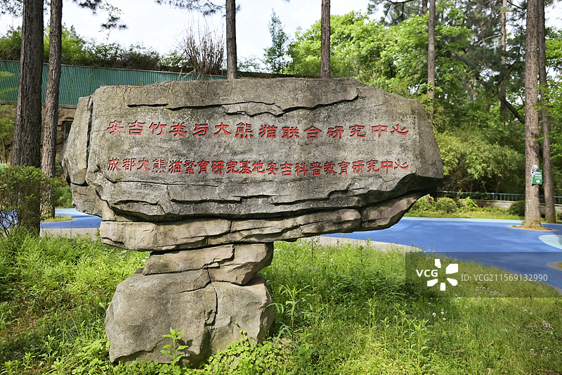 安吉竹博园 安吉竹类与大熊猫联合研究中心图片素材