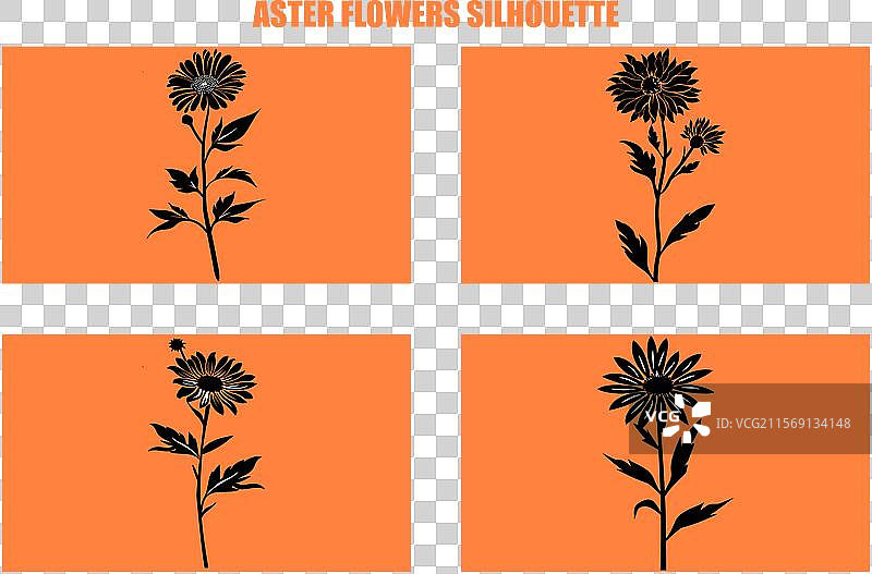 最佳的紫菀花图标集 紫菀花剪影图片素材