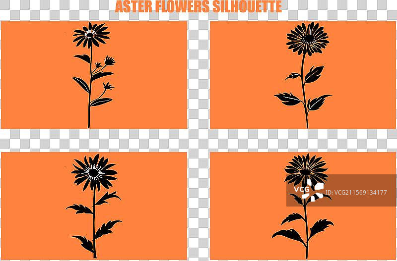 最佳的紫菀花图标集 紫菀花剪影图片素材