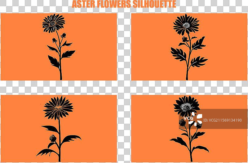 最佳紫菀花图标集 紫菀花剪影图片素材