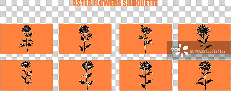 最佳的紫菀花图标集 紫菀花剪影图片素材