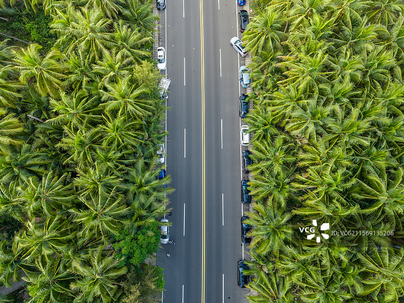 海南琼海孟菜园子高视角航拍滨海椰子树、环岛旅游公路海岸线图片素材