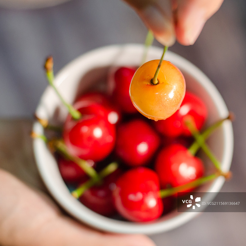 一堆红樱桃中拿出一颗黄樱桃图片素材