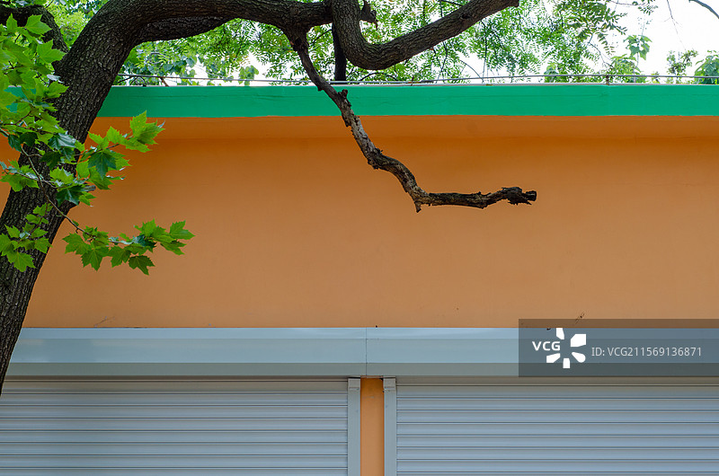 夏季的一排崭新的门面房图片素材