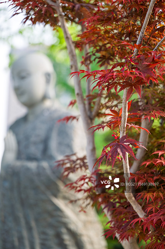 福州旗山万佛寺红叶与佛像的静谧之美图片素材