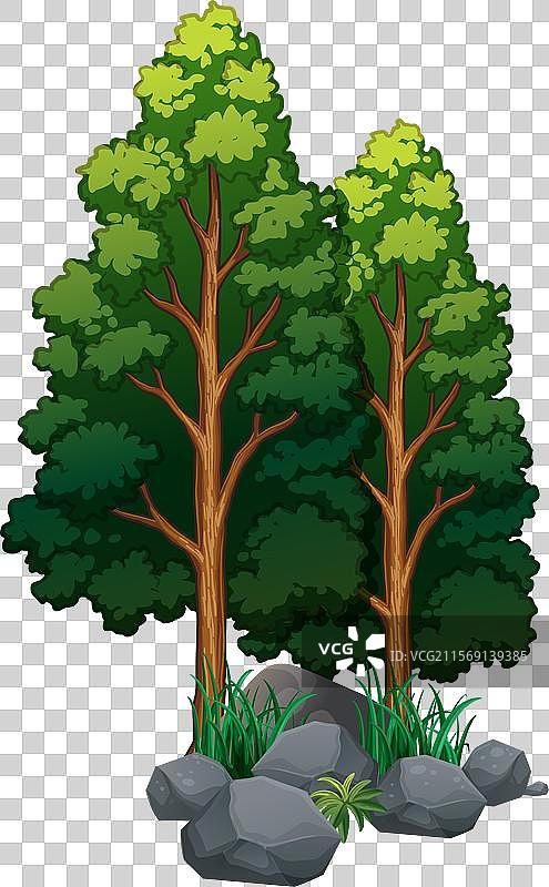 两棵树旁边有石头和草地图片素材