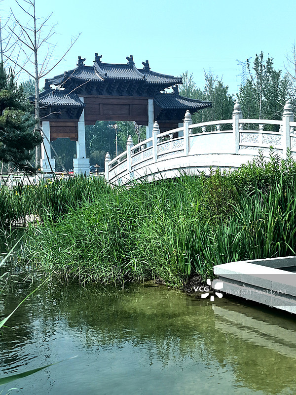 廊|桥清河鲤群游，亭台亭阁菏花稠玉瀑飞弦入神潭，蝶恋芳丛香染袖画舫犁波惊鹭鸥，云轨穿霄燕剪流图片素材