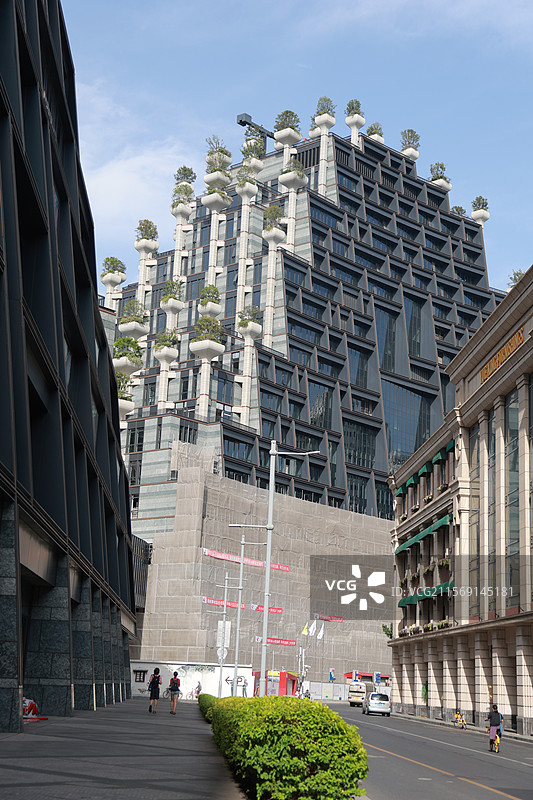 天安千树图片素材