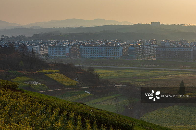 洋县朱鹮梨园风光春暖花开春回大地万物复苏桃花梨花油菜花玉兰花牡丹花怒放的生命图片素材