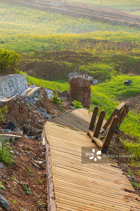 洋县朱鹮梨园风光春暖花开春回大地万物复苏桃花梨花油菜花玉兰花牡丹花怒放的生命图片素材