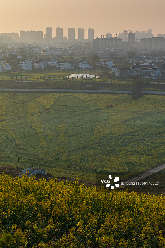 洋县朱鹮梨园风光春暖花开春回大地万物复苏桃花梨花油菜花玉兰花牡丹花怒放的生命图片素材