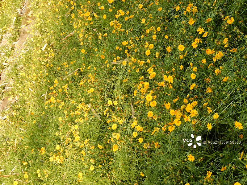 重庆市云阳县的环湖绿道和公园云阳环湖绿道绘就山水人城和谐共生的新篇章图片素材