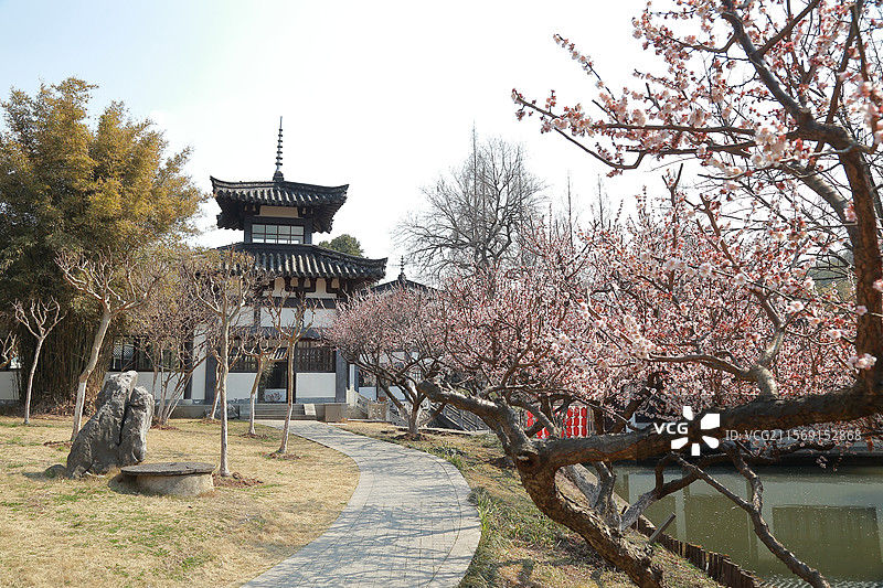 镇江南山文苑梅花与学林轩图片素材