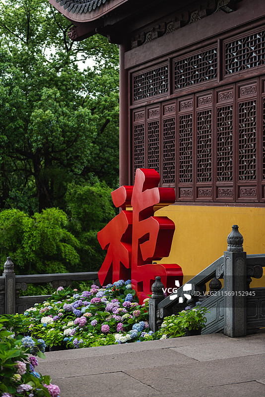 杭州灵隐飞来峰景区永福寺无尽夏绣球花展图片素材