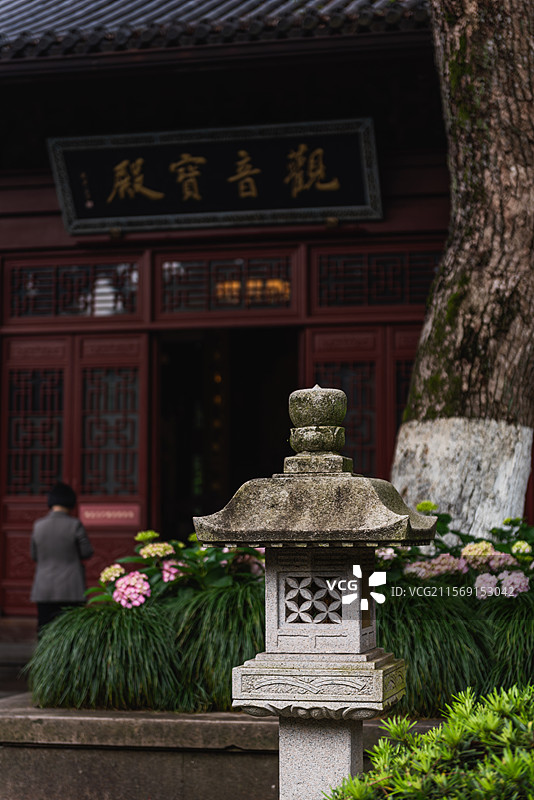 杭州灵隐飞来峰景区永福寺无尽夏绣球花展图片素材